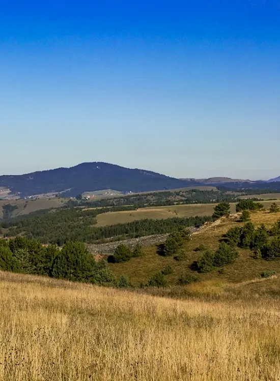 Zlatibor
