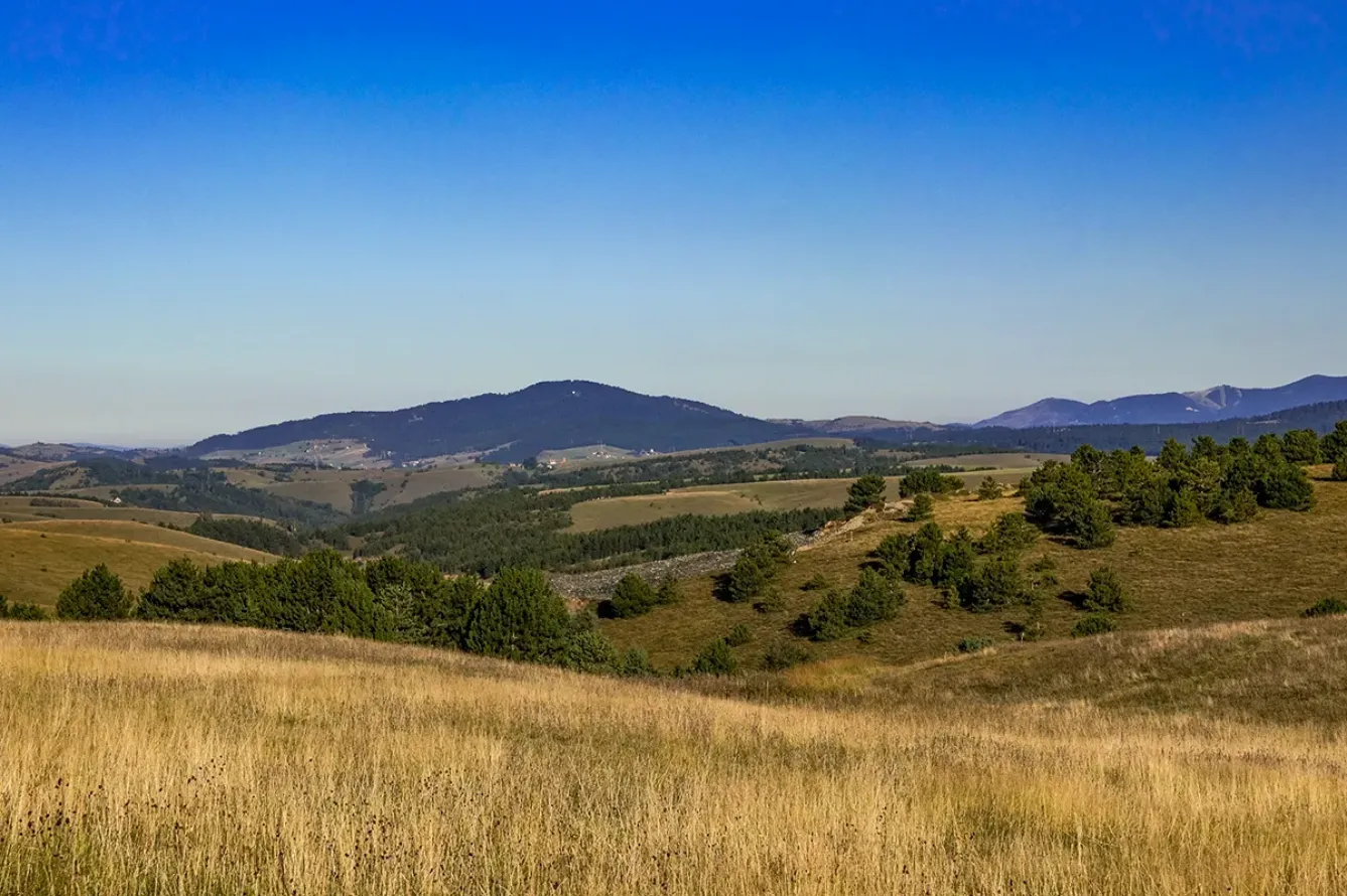 Zlatibor
