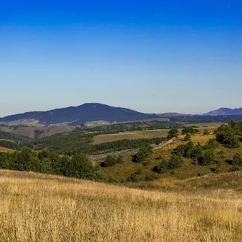 Zlatibor