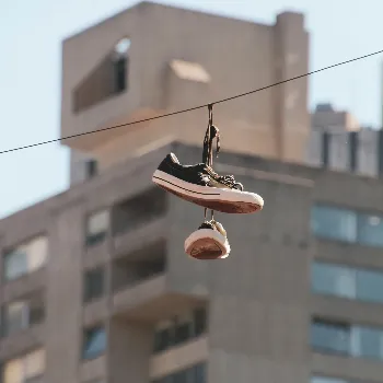 adam-hamel-u5QRO4Otpc0-unsplash