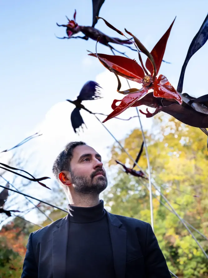 Vladmir Lalić - To Move, is to Bloom