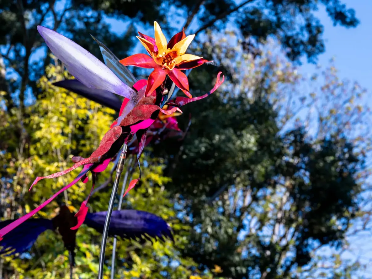 Vladmir Lalić - To Move, is to Bloom