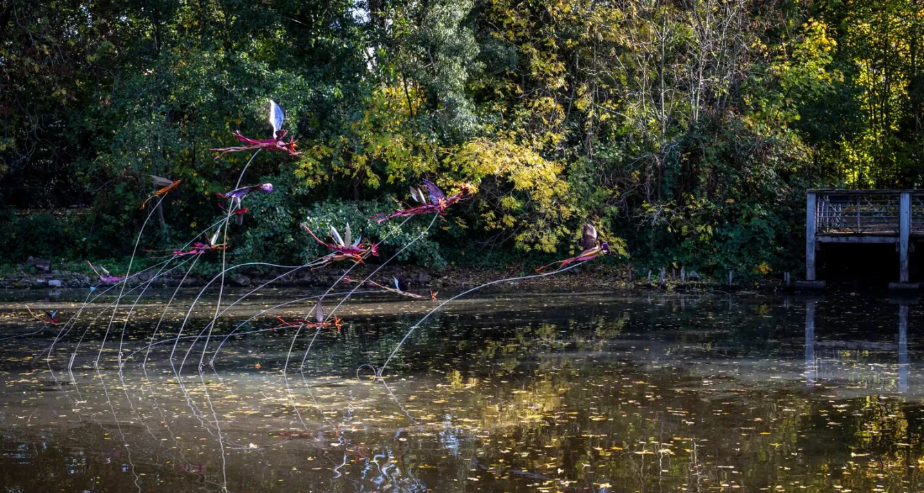 Vladmir Lalić - To Move, is to Bloom