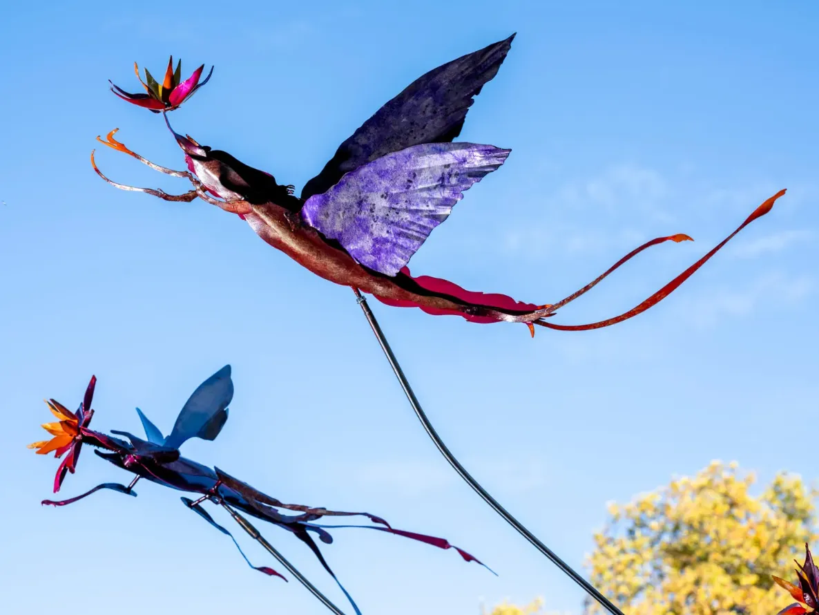 Vladmir Lalić - To Move, is to Bloom