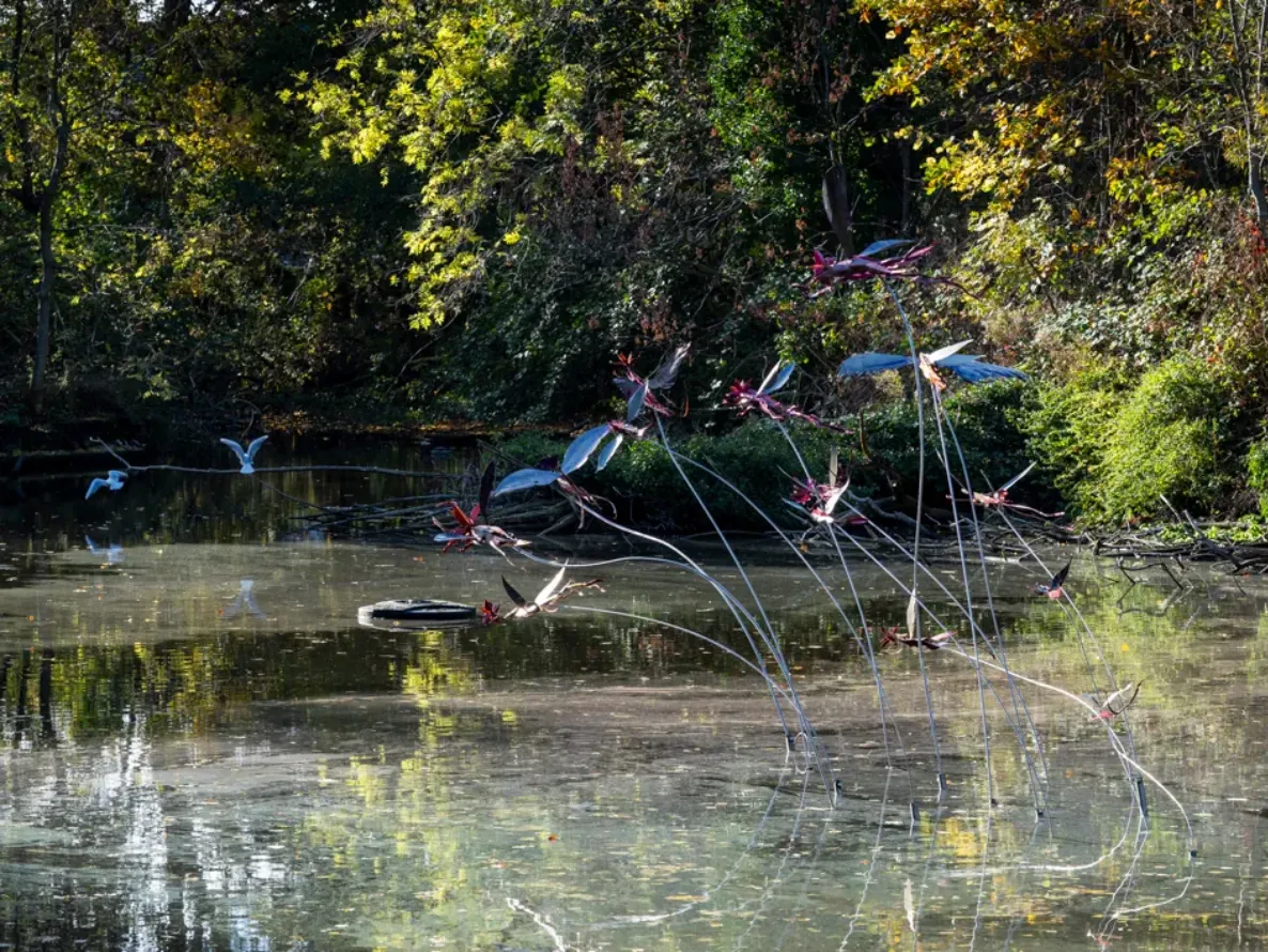 Vladmir Lalić - To Move, is to Bloom