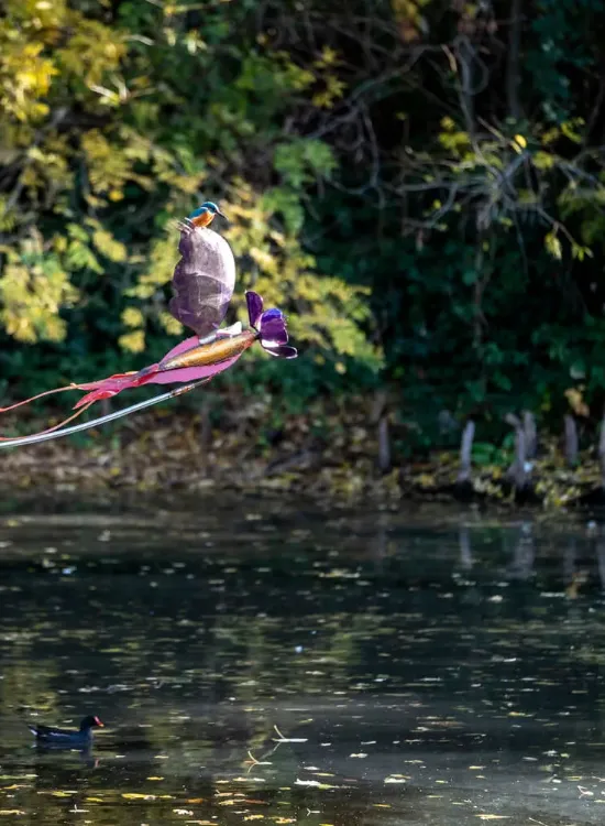 Vladmir Lalić - To Move, is to Bloom
