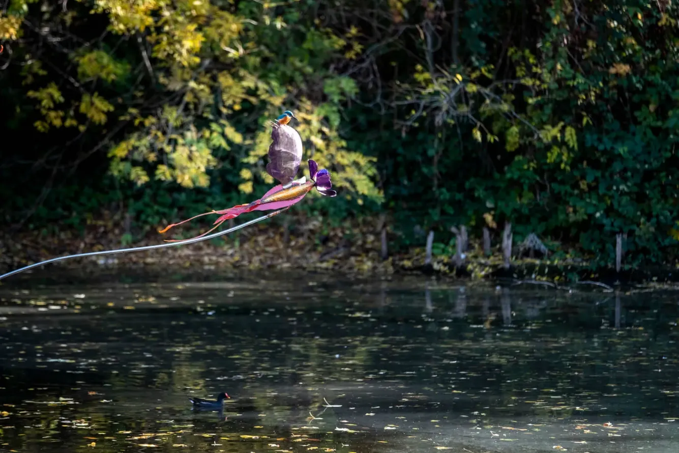Vladmir Lalić - To Move, is to Bloom