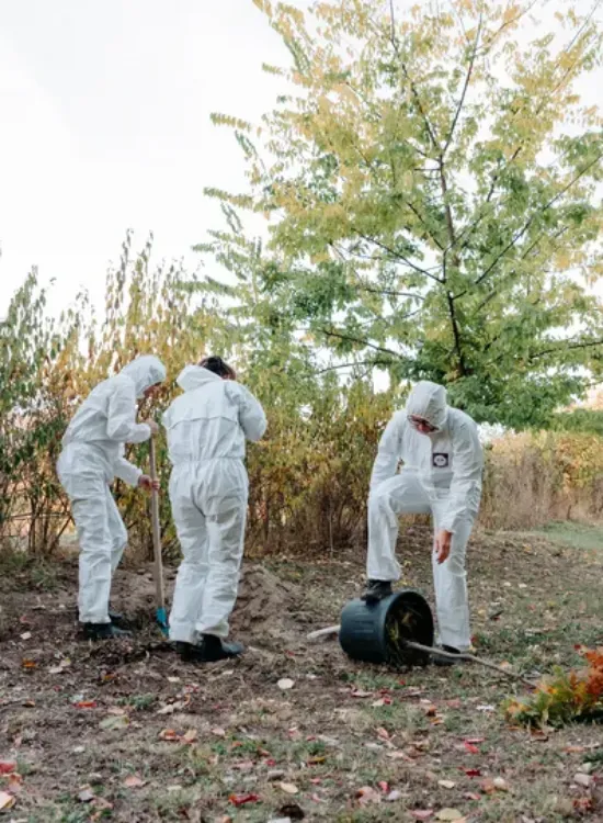 BioAwaking - One Tree(s)