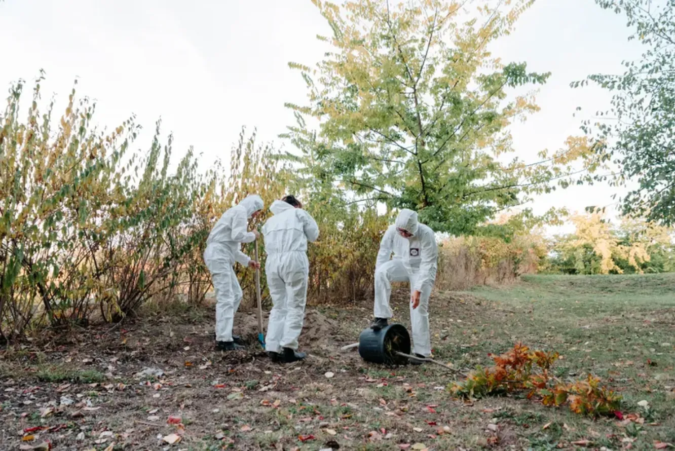 BioAwaking - One Tree(s)