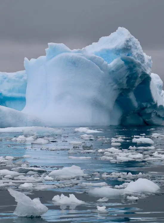 Sarah N from Pixabay