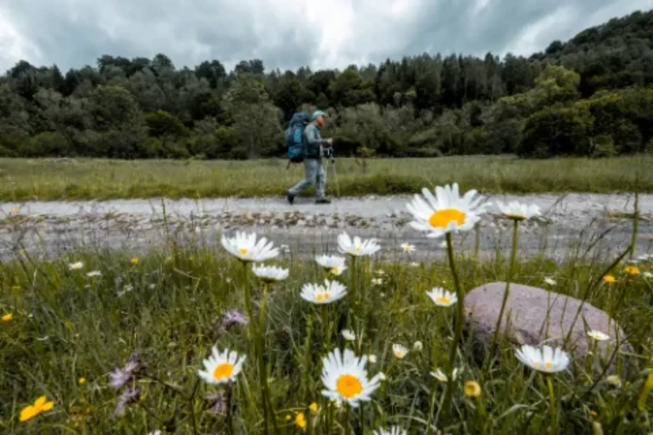 3_HL_SRB_Predrag_Vuckovic_0489