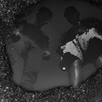 Angelo Leonardo Vizualizator 3