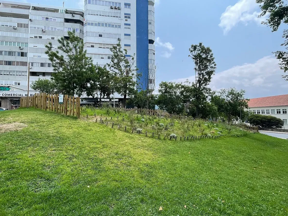 Miyawaki šuma u Almadi, u Španiji