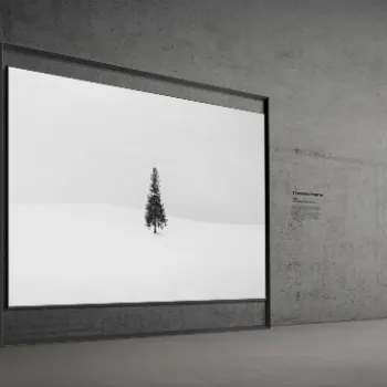 TimelessFrame_01_crop2