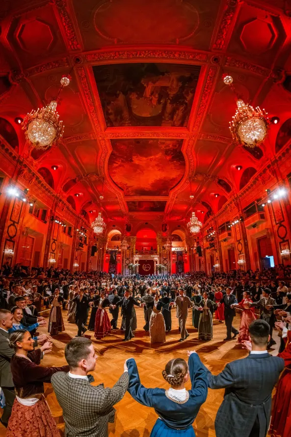 Marko Obradović - BALL HIGHLIGHTS 13