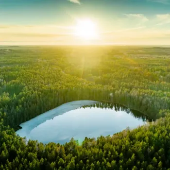 pexels-vilnisphoto-7449712