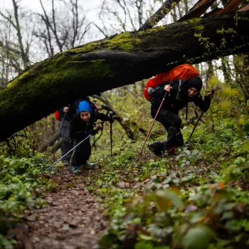 upscalemedia-transformed (3)