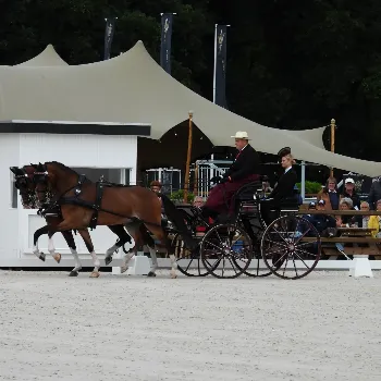 Dresura (2) (Custom)