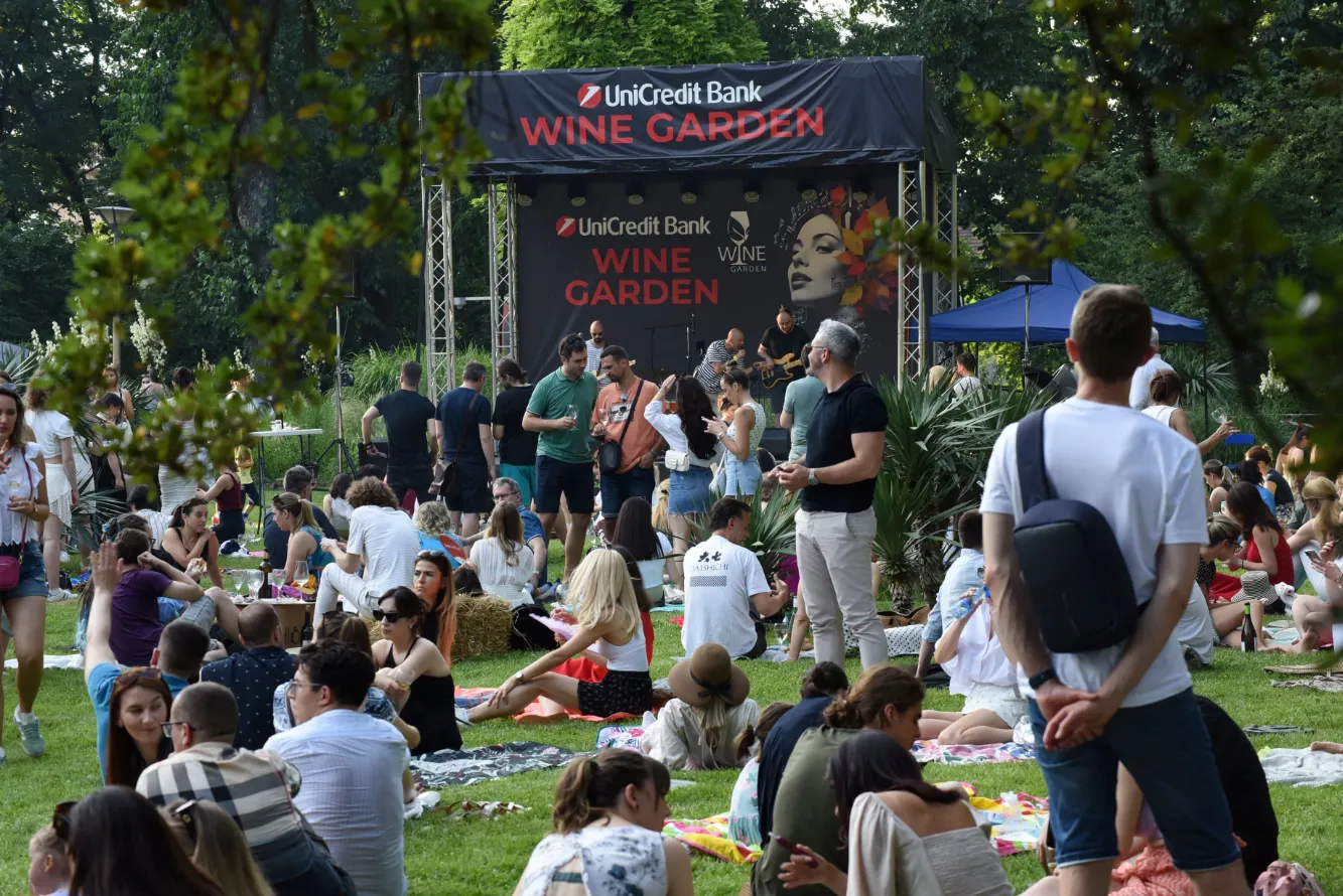 wine garden prvi dan by ivana cutura (147)