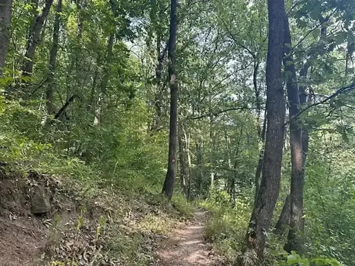 rina-asset-659f6575-860b-4856-b61d-06321a8ff4ce