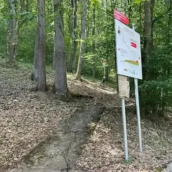 rina-3361d8cb-21eb-44af-8c37-54bb2f1fde75-featured